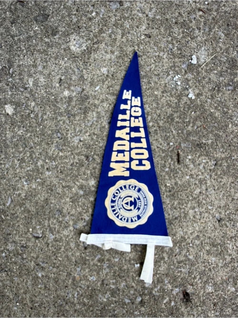 Medaille College Blue Felt Pennant
